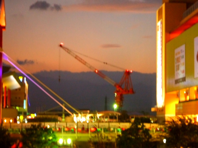 twilight crane.JPG